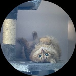 Meet your Posher, Johnny